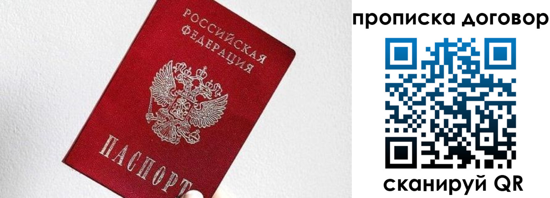 найти адрес прописки в Полярных Зорях